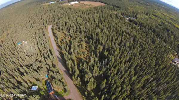 25892 Marlene Drive, Kasilof, AK 99610