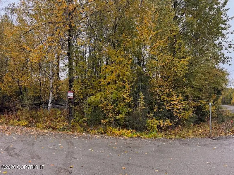 14713 N Sundew Circle, Willow, AK 99688 - #1
