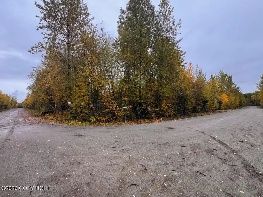 14713 N Sundew Circle, Willow, AK 99688 - #2
