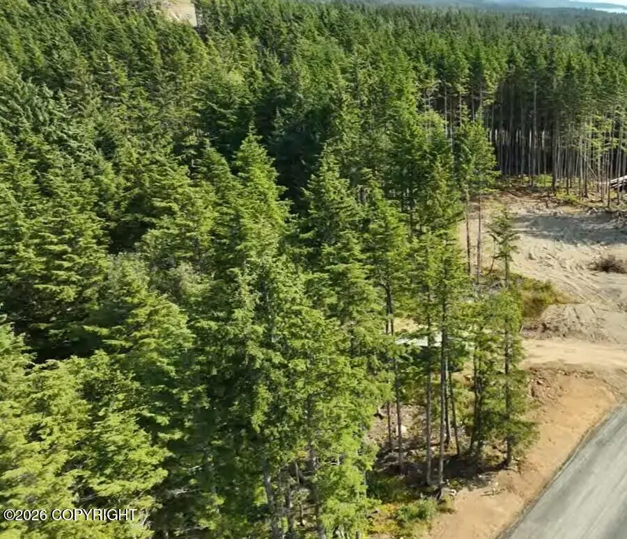 Lot 52 Cordes Drive, Haines, AK 99827 - #3