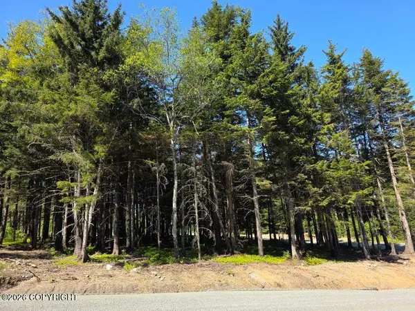 Lot 25 Martin Avenue, Haines, AK 99827