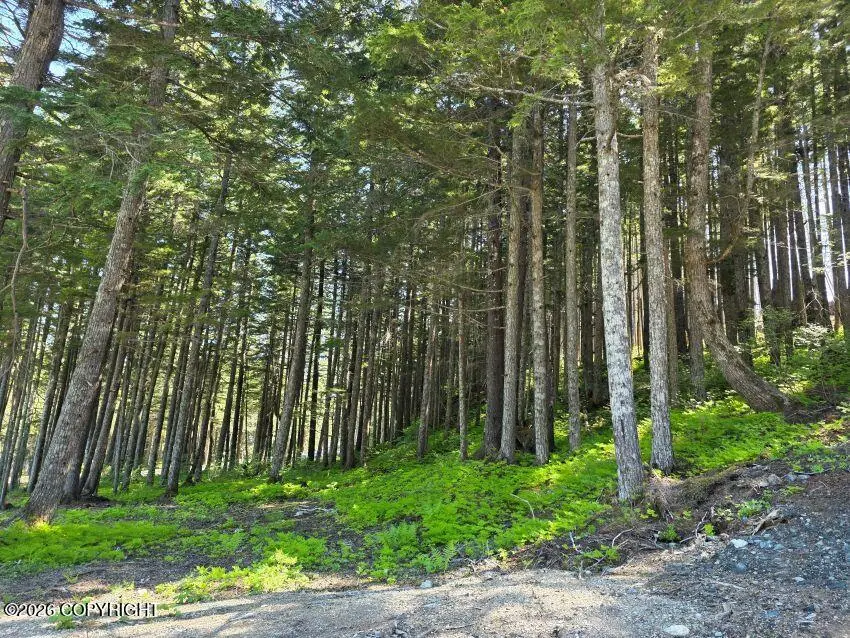 Lot 25 Martin Avenue, Haines, AK 99827 - #2