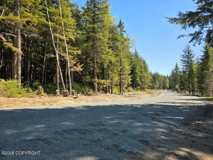 Lot 28A Martin Avenue, Haines, AK 99827 - #1
