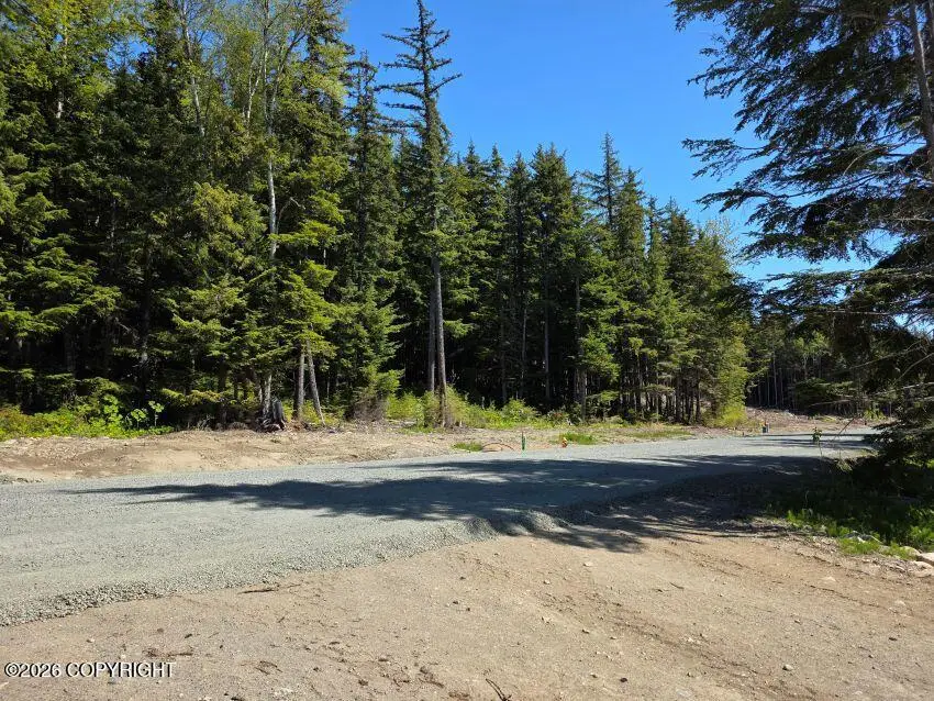 Lot 28A Martin Avenue, Haines, AK 99827 - #2