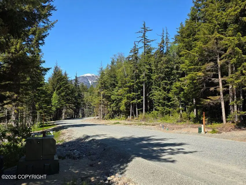 Lot 30 Martin Avenue, Haines, AK 99827 - #3