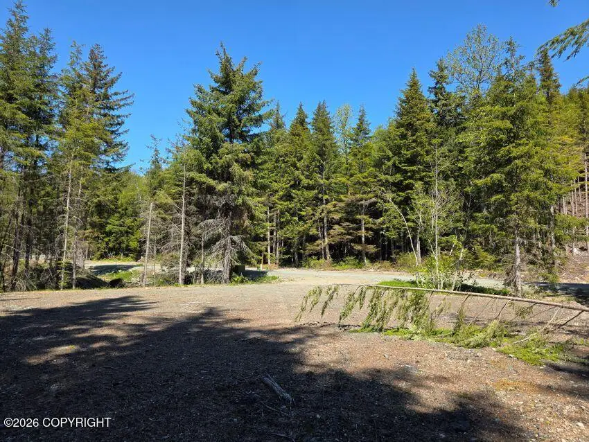 Lot 31 Martin Avenue, Haines, AK 99827 - #1