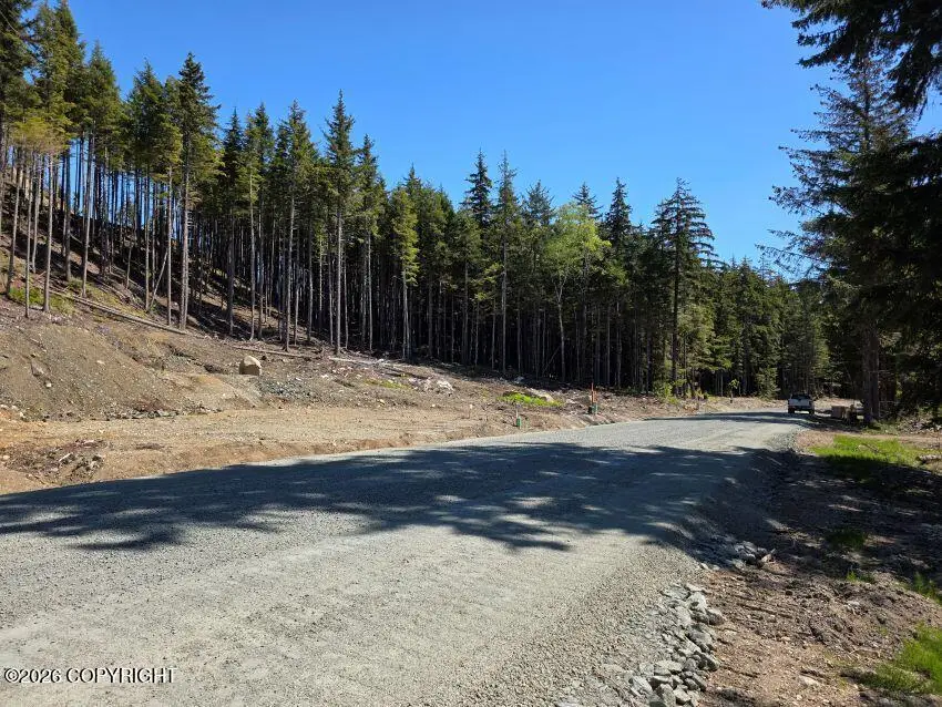 Lot 32 Martin Avenue, Haines, AK 99827 - #3