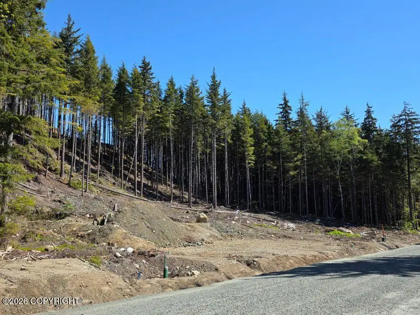 Lot 33 Martin Avenue, Haines, AK 99827 - #3