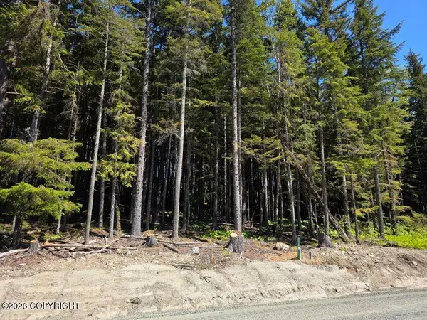 Lot 34 Martin Avenue, Haines, AK 99827