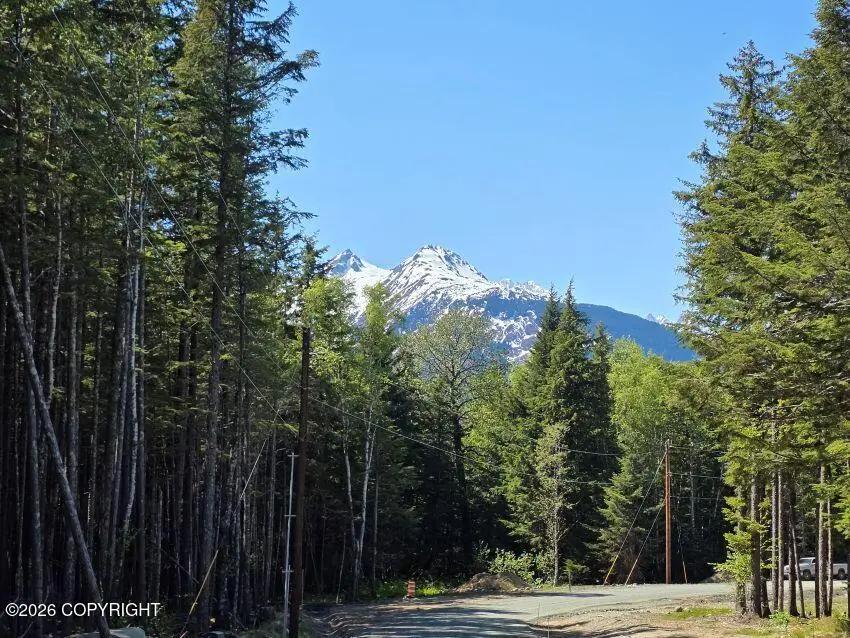 Lot 36 Martin Avenue, Haines, AK 99827 - #2
