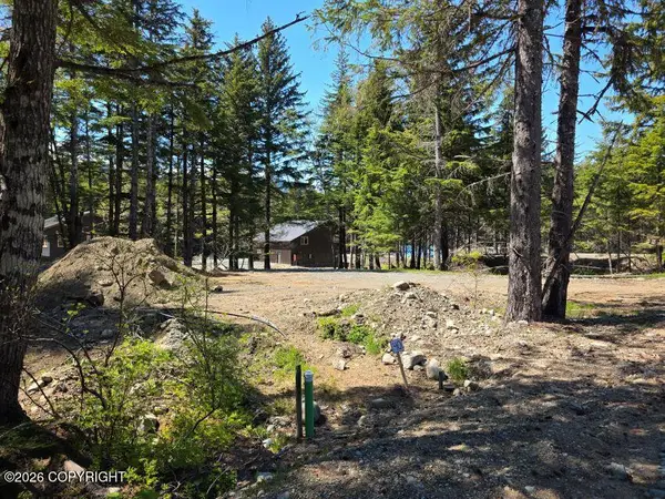Lot 40 Martin Avenue, Haines, AK 99827