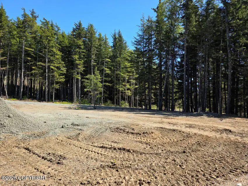 Lot 40 Martin Avenue, Haines, AK 99827 - #2