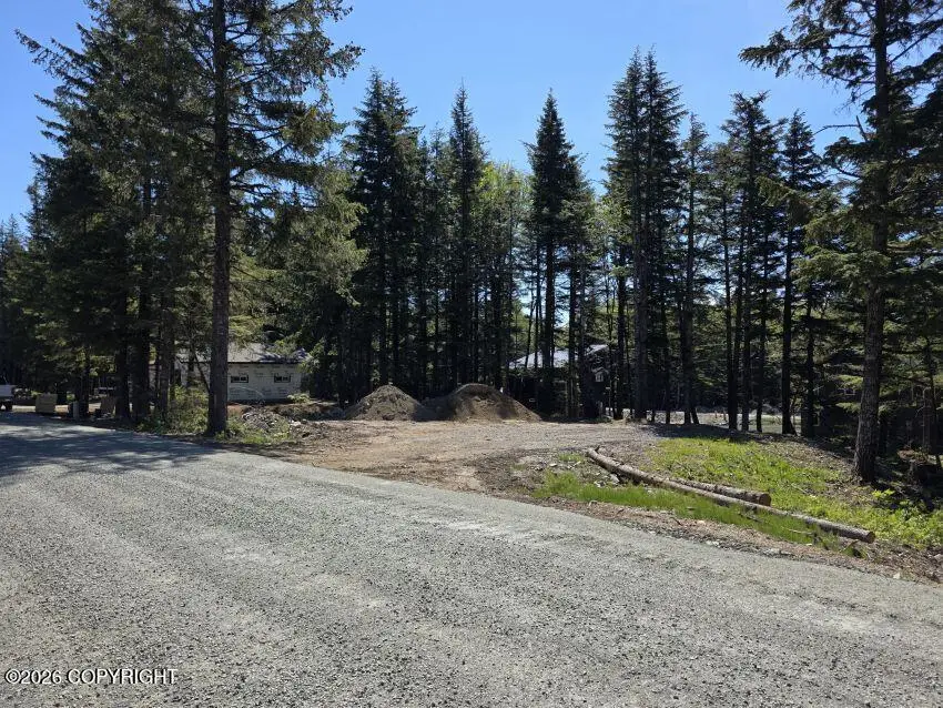 Lot 40 Martin Avenue, Haines, AK 99827 - #3