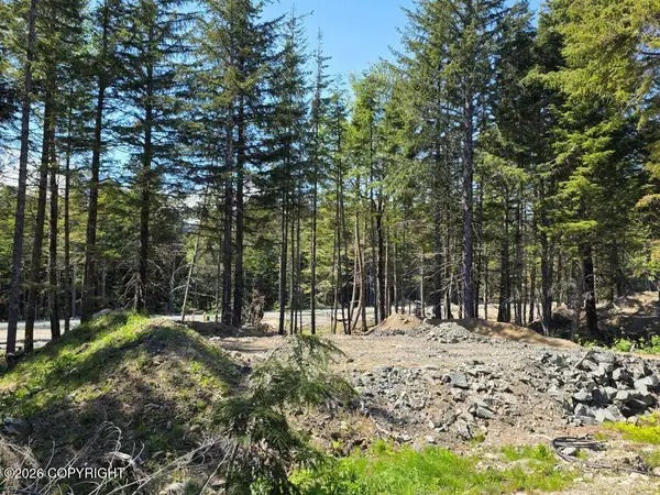 Lot 42 Martin Avenue, Haines, AK 99827