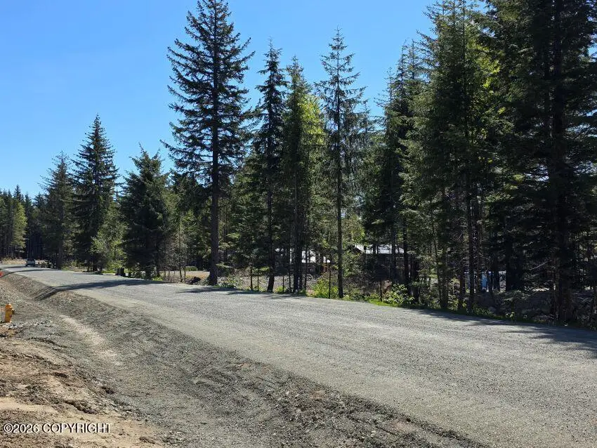 Lot 42 Martin Avenue, Haines, AK 99827 - #3