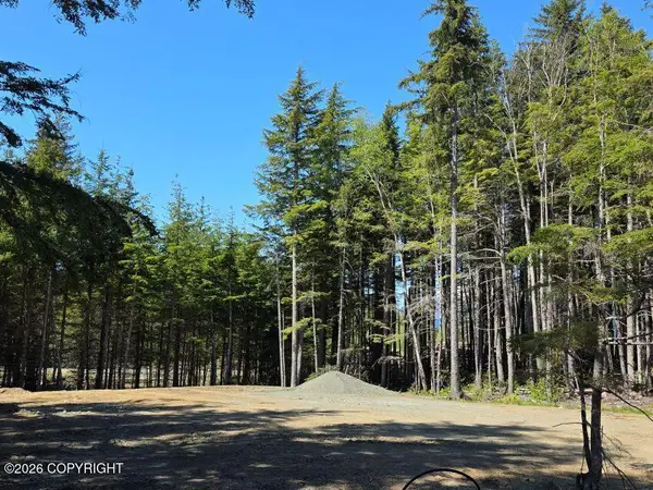 Lot 43 Martin Avenue, Haines, AK 99827