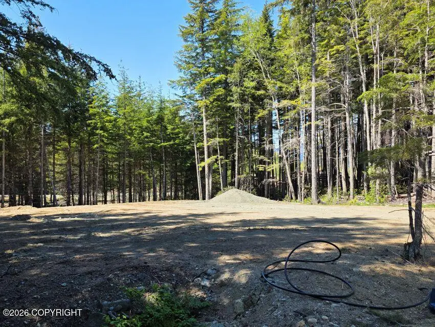 Lot 43 Martin Avenue, Haines, AK 99827 - #2