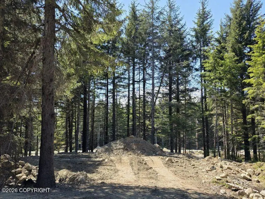 Lot 44 Martin Avenue, Haines, AK 99827 - #2