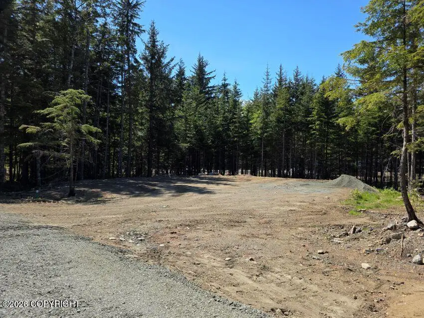 Lot 44 Martin Avenue, Haines, AK 99827 - #3