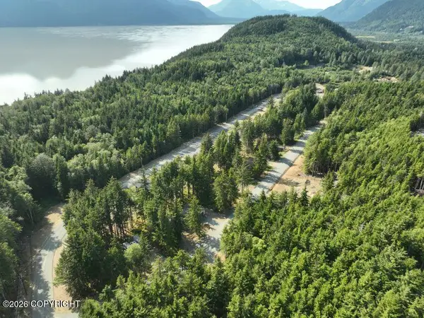 Lot 45 Martin Avenue, Haines, AK 99827