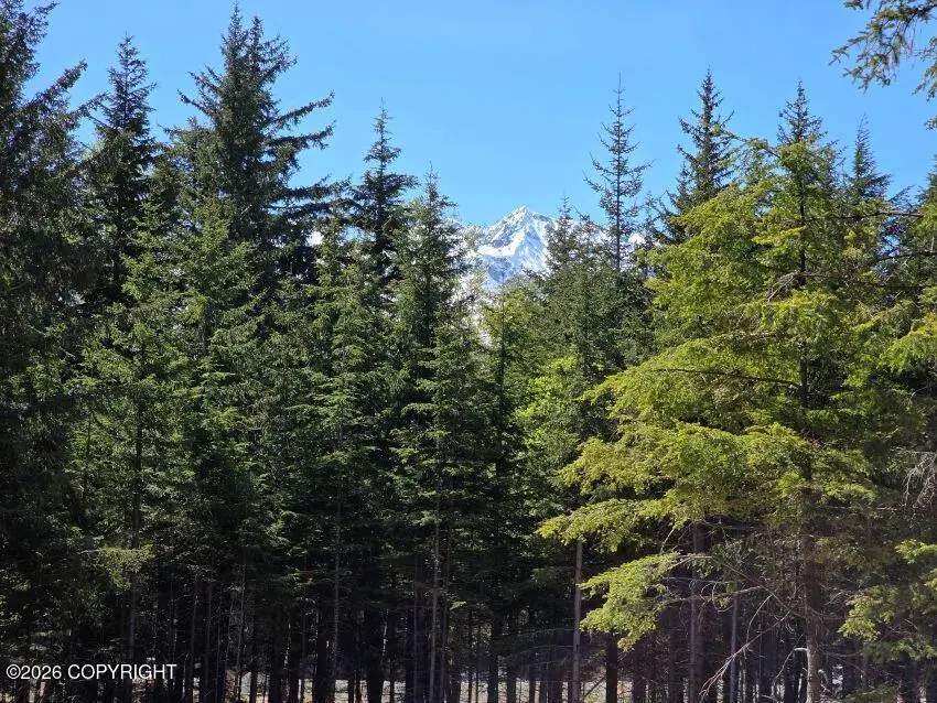 Lot 45 Martin Avenue, Haines, AK 99827 - #2