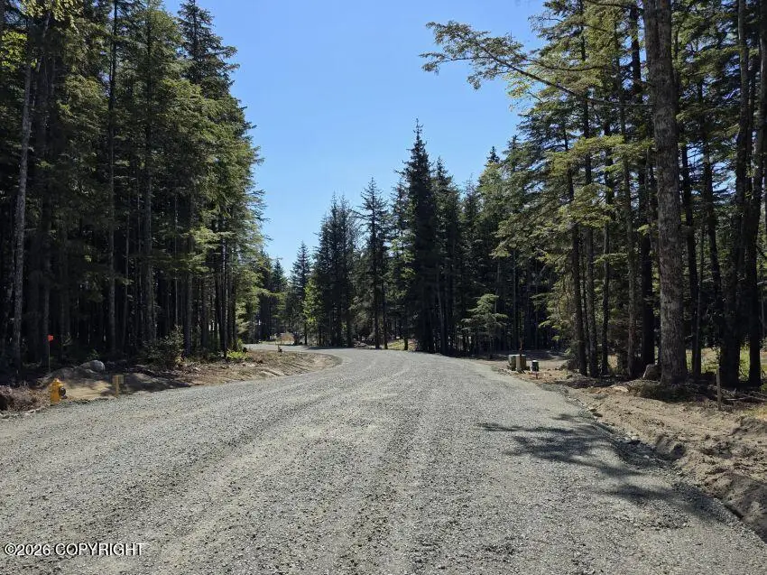 Lot 46 Martin Avenue, Haines, AK 99827 - #3