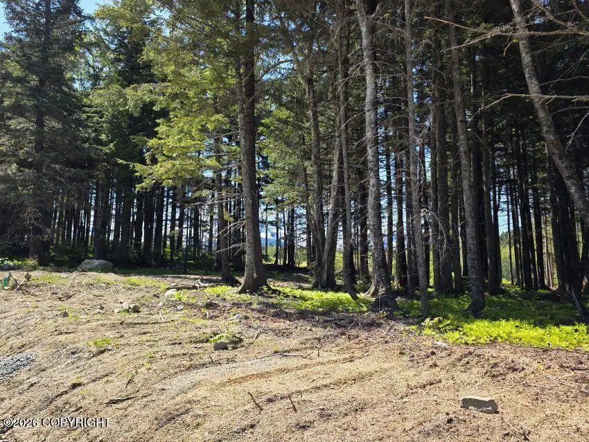 Lot 47 Martin Avenue, Haines, AK 99827 - #3
