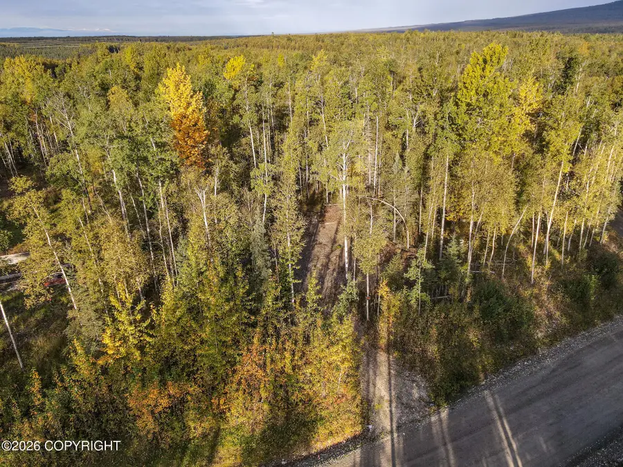 4282 N Alvins Alley Way, Wasilla, AK 99654 - #3