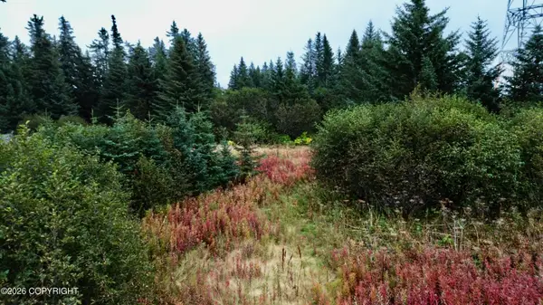 26940 Sterling Highway, Anchor Point, AK 99556