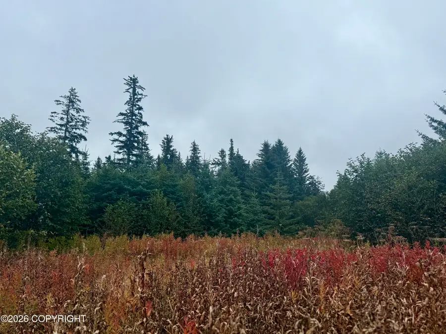 26940 Sterling Highway, Anchor Point, AK 99556 - #2