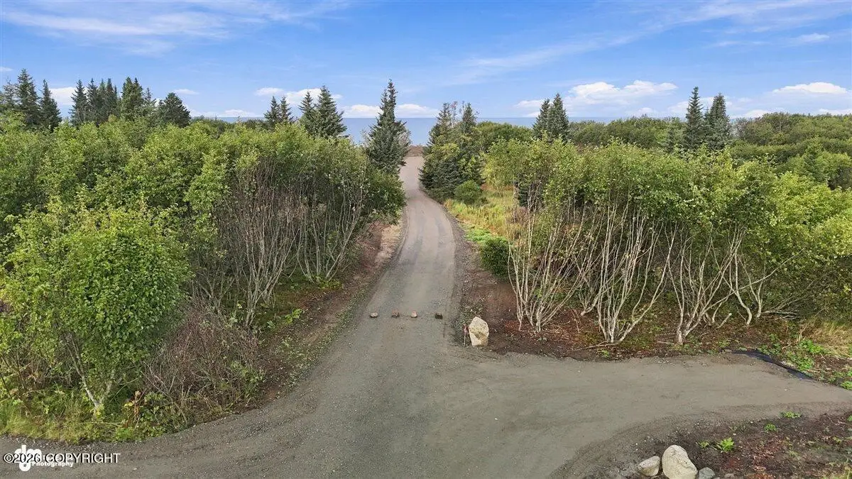 L3 Sterling Highway, Ninilchik, AK 99639 - #1