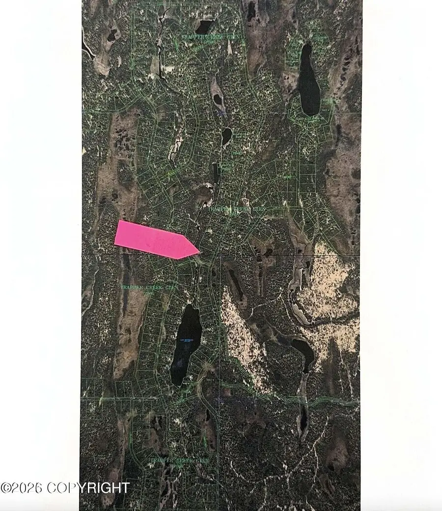 6615 E Cleveland Red Road, Trapper Creek, AK 99683 - #3