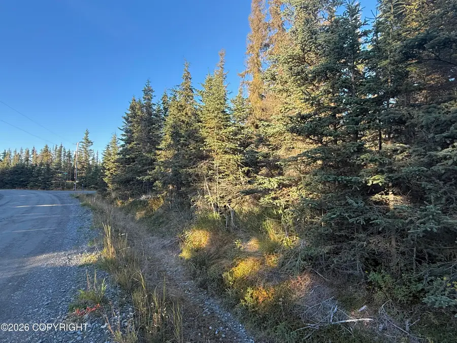 36244 Bore Tide Drive, Kenai, AK 99611 - #2