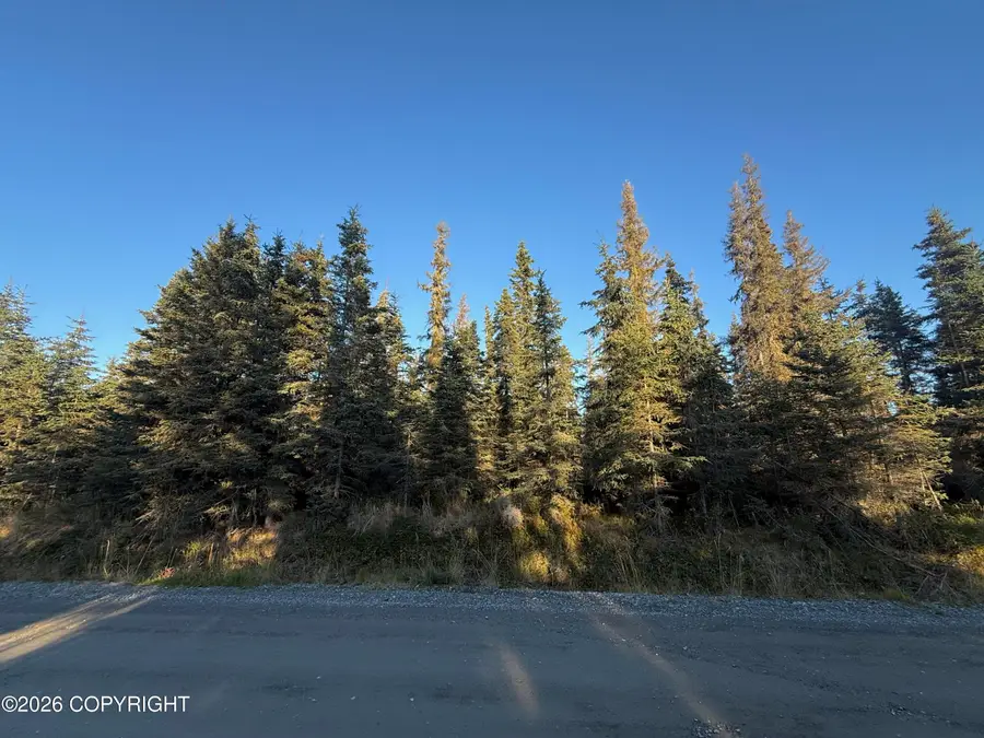 36244 Bore Tide Drive, Kenai, AK 99611 - #3