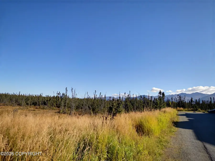 2964 Midnight Sun Court #173, Anchorage, AK 99507 - #3