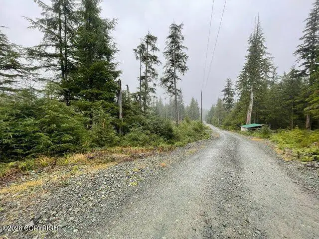 L5 Steep Road, Thorne Bay, AK 99919 - #1