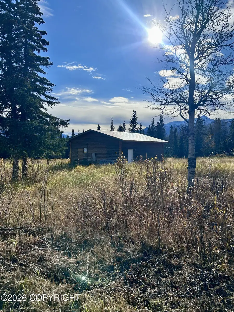Lot 1 Hilltop Road, Healy, AK 99743 - #3