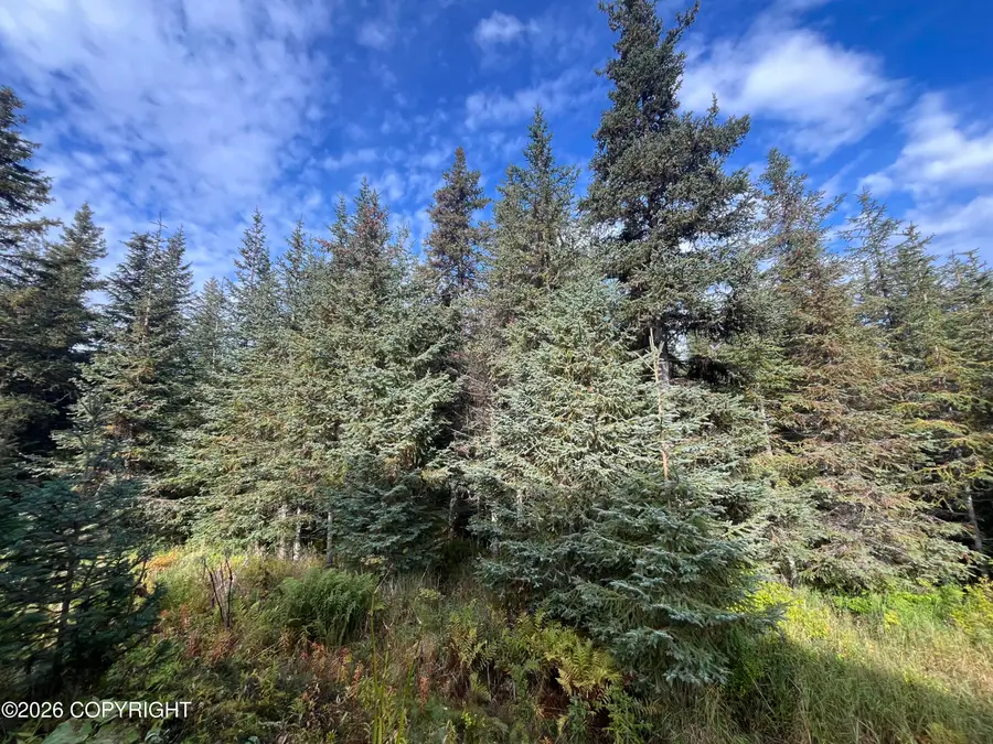 1500 Lincoln Drive, Homer, AK 99603 - #3