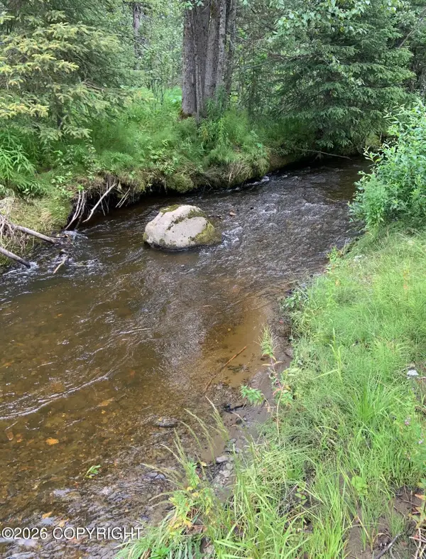 35232 N Fork Road, Anchor Point, AK 99556