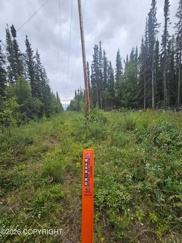 L2 B2 Trapline Drive, Copper Center, AK 99573