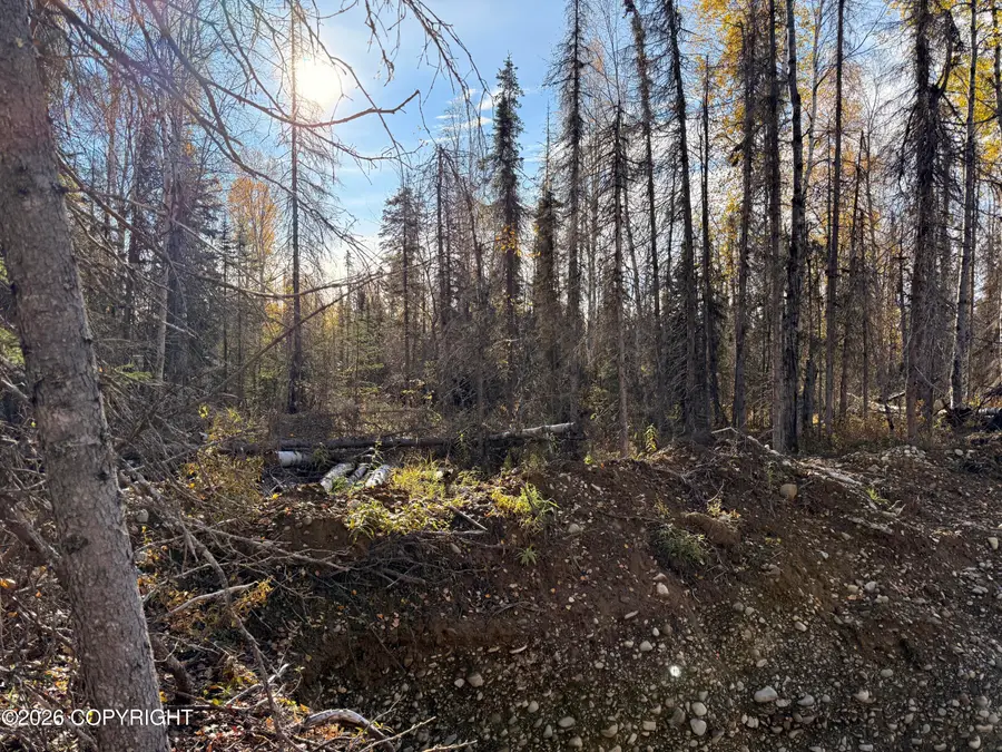 17734 E Anaconda Avenue, Talkeetna, AK 99676 - #3