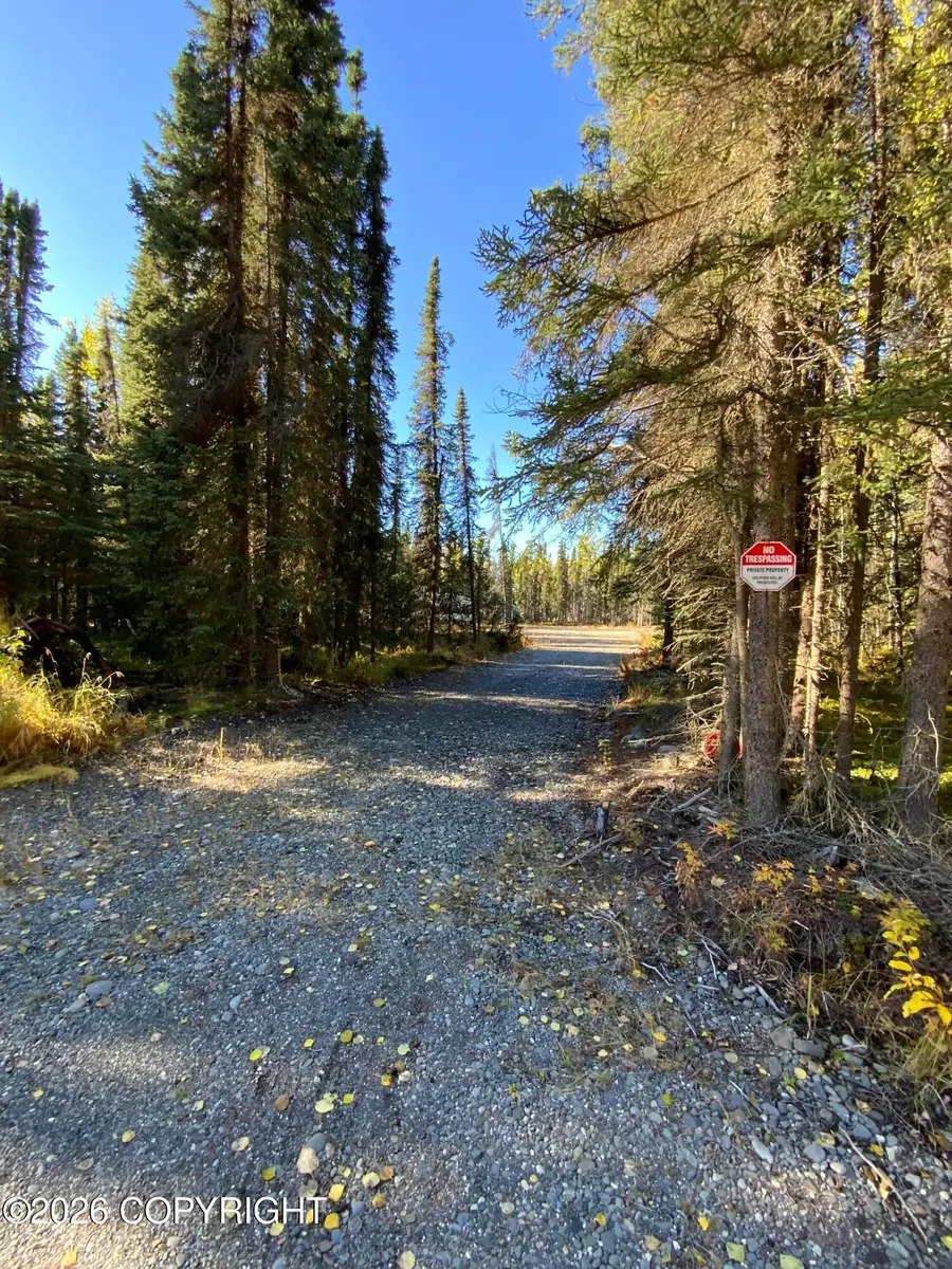 36655 Lemadonja Court, Sterling, AK 99672 - #3