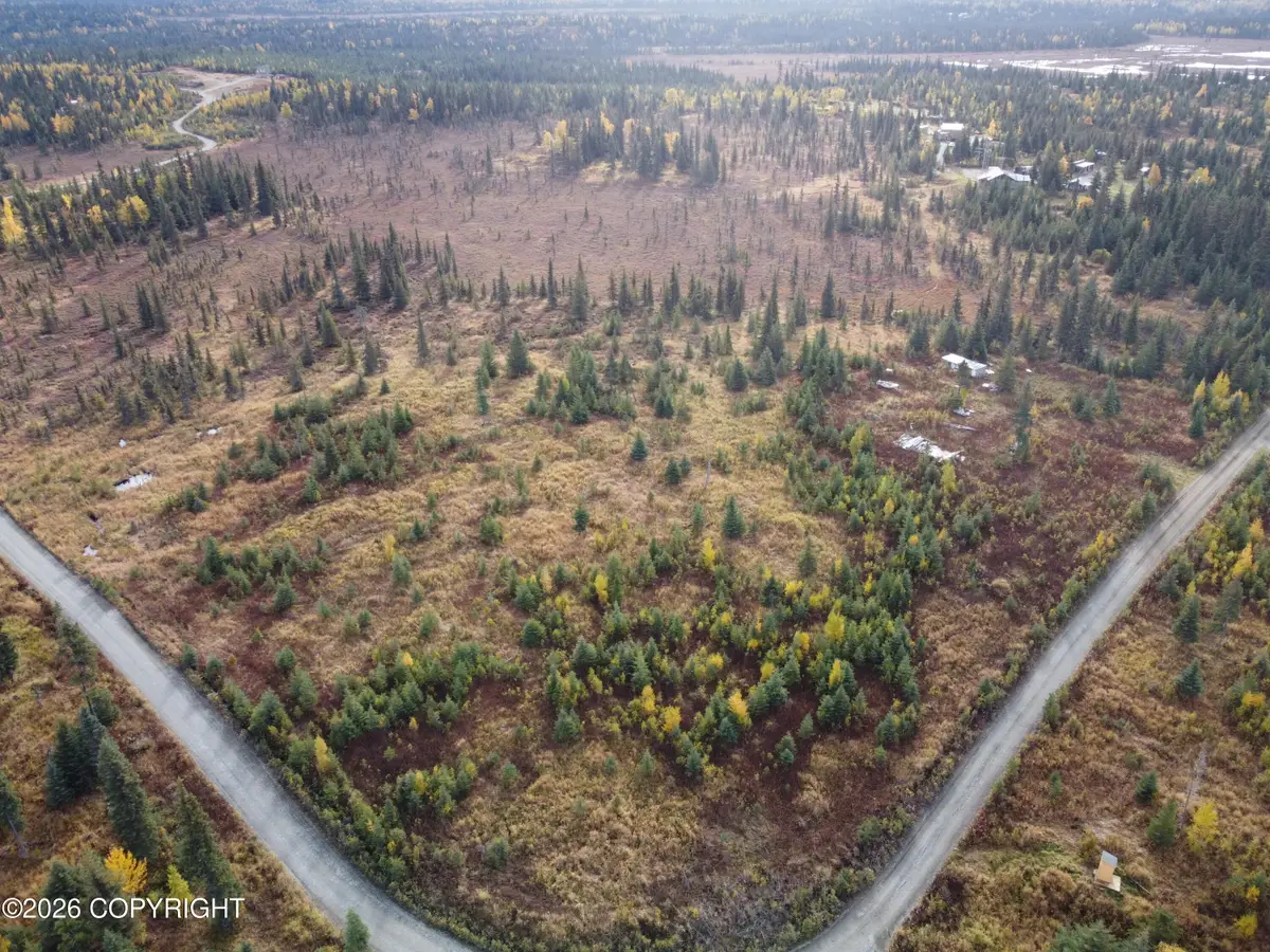 31350 Birch Haven Road, Anchor Point, AK 99556 - #1