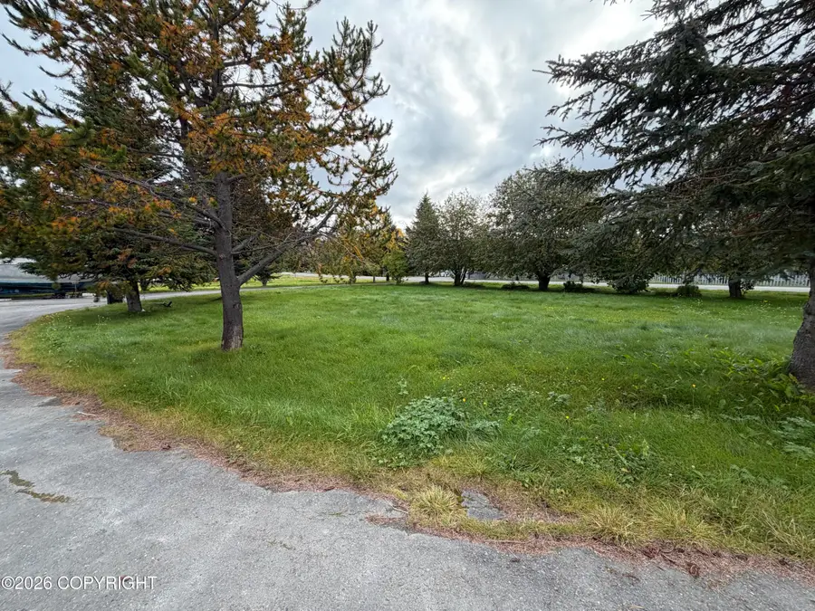 65400 Nikolaevsk Road, Anchor Point, AK 99556 - #2