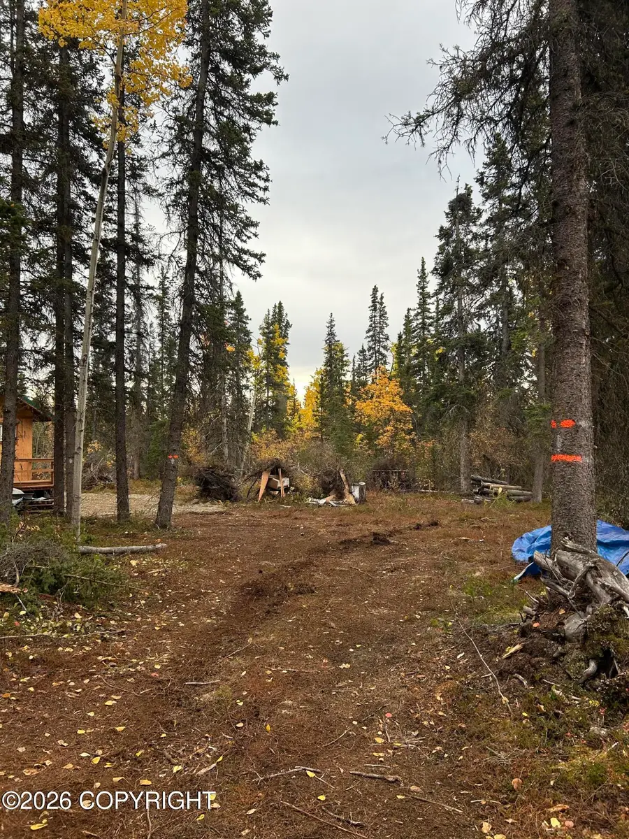 000 Mi 81 Richardson Highway, Copper Center, AK 99573 - #3
