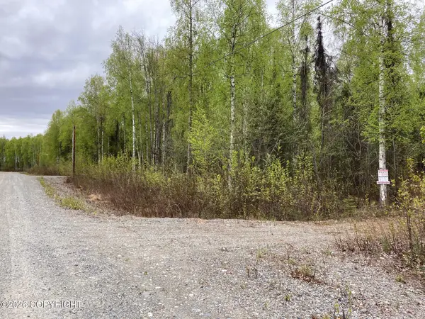 47138 S Merlin Drive, Willow, AK 99688