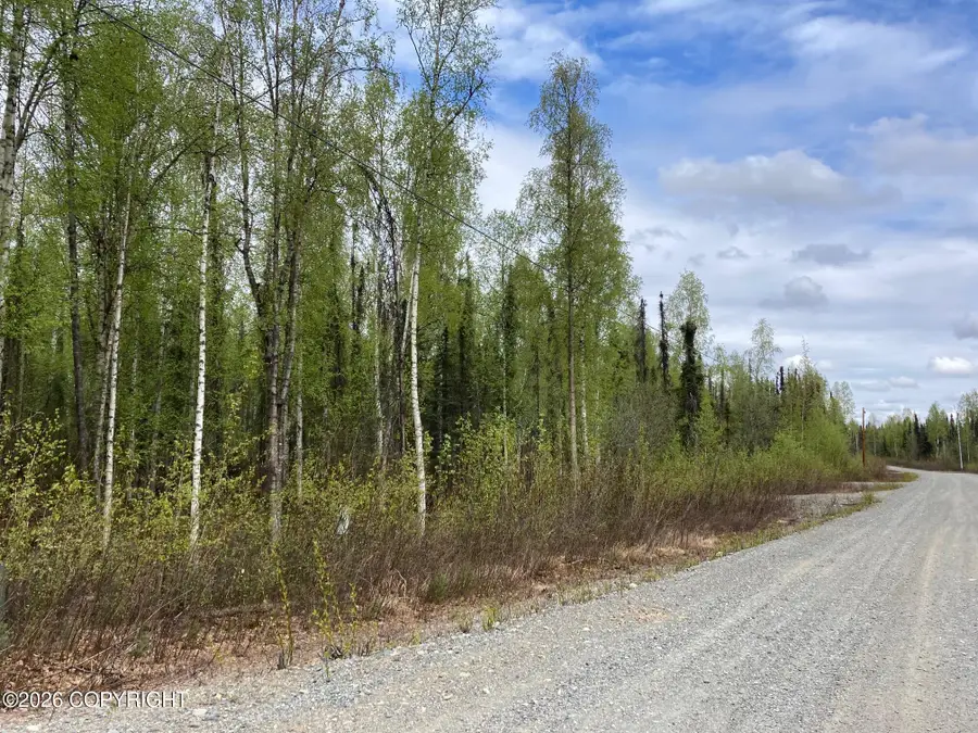 47138 S Merlin Drive, Willow, AK 99688 - #2