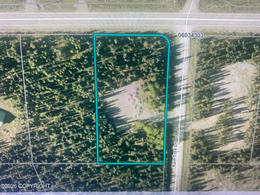 121 Rain Tree Lane, Soldotna, AK 99669 - #2
