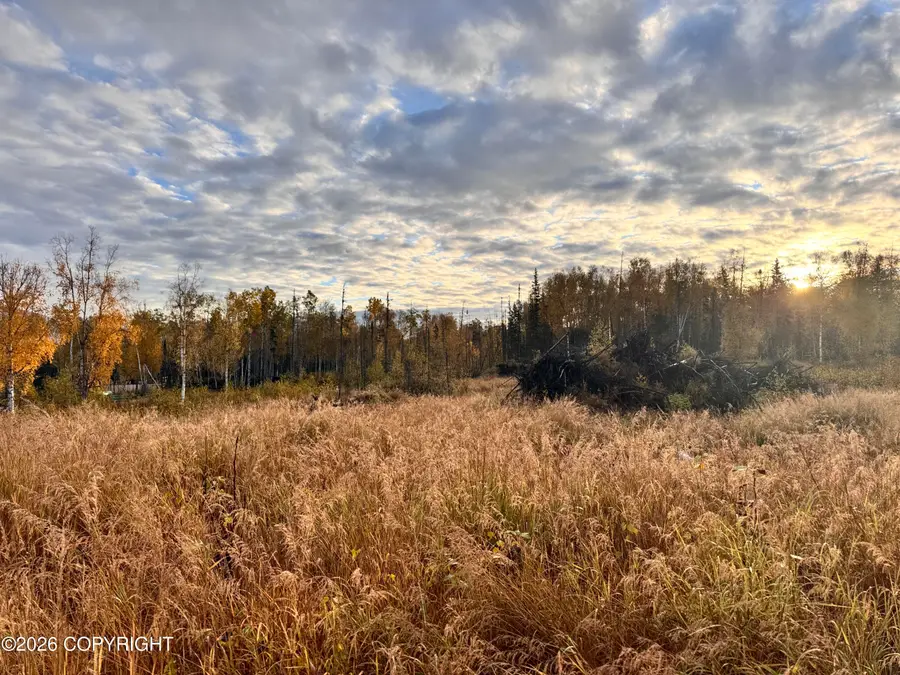 000 W Trumpeter Swan Drive, Wasilla, AK 99654 - #2