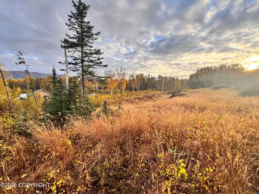 000 W Trumpeter Swan Drive, Wasilla, AK 99654 - #3